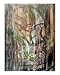 Alligator Jive Emerging Artists Giclee Poster Print by Robert Waluchow, 16x20