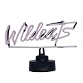 Northwestern Neon Lamp