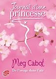 Journal d'une Princesse, Tome 8 : De l'orage dans l'air