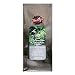 Timothy's World Coffee, Parisian Nights, 2.5-Ounce Packages (Pack of 24)