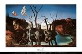 Swans Reflecting Elephants, c.1937 Poster Print by Salvador Dalí, 36x24 Poster Print by Salvador Dalí, 36x24