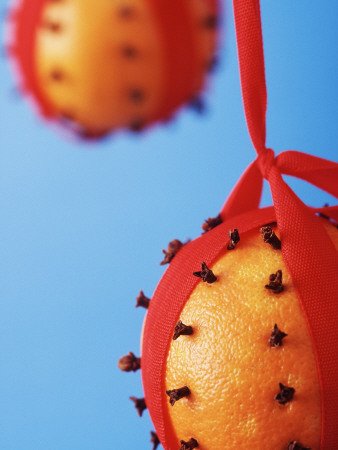 Cloved Oranges Hanging in Red Ribbons as Christmas Decoration Photographic Poster Print, 24x32