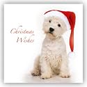 Westie - 10 Cancer Research UK Charity Christmas Cards - All profits go towards our life-saving work