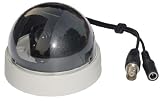 1/4 Color Mini-dome Camera 360 degree swivel 302CDSP