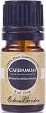 Cardamom 100% Pure Therapeutic Grade Essential Oil- 5 ml