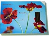 Review Les Encens du Monde  / Incense Greeting Card- Happy Holidays (Bonne Fete)