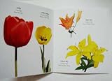 Children Bilingual Books/Pictures Books - 5
