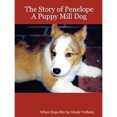 The Story of Penelope, A Puppy Mill Dog - When Dogs Bite