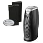 Alen T100 Desktop HEPA Air Purifier w/ T300 Replacement Silver ION HEPA Filter - COMBO SET for Flu Prevention