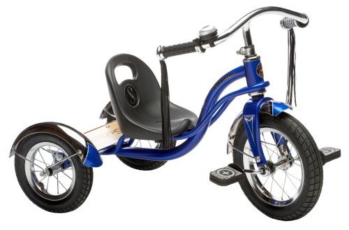 Childrens Toyshop  Toys : Schwinn Roadster 12-Inch Trike (Blue)