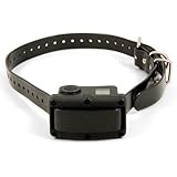 SportDOG Brand NoBark 10R Rechargeable Bark Collar - SBC-10R