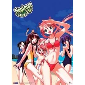 Negima Wallscroll #9686