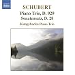 Schubert: Piano Trio, D. 929; Sonatensatz, D. 28