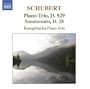 Schubert: Piano Trio 2 in E Flat Major