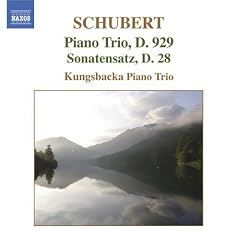 Schubert: Piano Trio, D. 929; Sonatensatz, D. 28