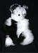 Soft Cuddly Baby Alpaca Fur Stuffed Hand Made Panda Teddy Bear 13 Inch Size ATB_WHITEDKBWN13_010