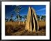 Termite Mounds in Grasslands, Hann River Crossing, Lakefield National Park, Australia Places Framed Art Poster Print by Trevor Creighton, 39x31