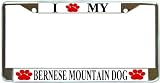 I Love My Bernese Mountain Paw Prints Dog Chrome Metal License Plate Frame Holder