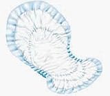 Dry Comfort Pad Day Moderate Blue For Moderate Bladder Control Protection - Case of 88