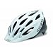 Giro 2012 Indicator Sport Bike Helmet (White/Silver Explosion - One Size)