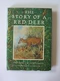 The story of a red deer