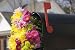Fresh Spring Flower Bouquet in the Mailbox - 18