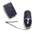 Pipedream Products Waterproof Remote Control Black Bullet