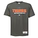 Detroit Tigers Authentic Collection Practice T-Shirt