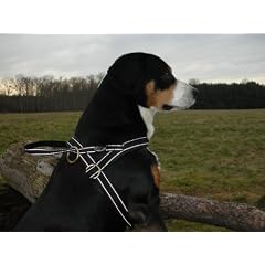 Limex Hundegeschirr Reflex 90-100