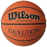 Search : Wilson Evolution Basketball