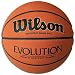 Wilson Evolution Basketball