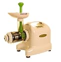 Matstone 6 in 1 Juicer in Ivory