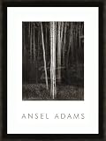 Aspens New Mexico 1958 (Embossed) FRAMED 24 x 36 inches