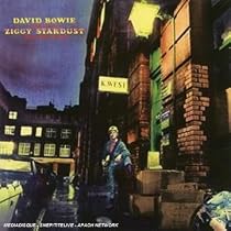 The Rise And Fall Of Ziggy Stardust