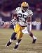 Ryan Grant Green Bay Packers Glossy 8x10 Photo