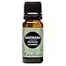 Ravensara 100% Pure Therapeutic Grade Essential Oil by Edens Garden- 10 ml
