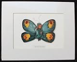 Butterfly by Anne Geddes - 5 x 7 Matted Print