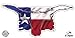 Texas Flag Barbwire Longhorn - 3