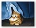 Clara by Lowell Herrero 16"x12" Art Print Poster