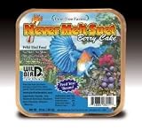 Never Melt Suet Peanut Cake - 13 oz.
