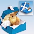 Pomeranian Christmas Ornament Blue Box Keepsake