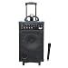 PylePro - 500W VHF Wireless Portable PA System /Echo W/Ipod Dock