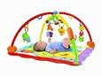 Fisher-Price Friendly Firsts 3-in-1 Musical Mirror Grow with Me Gym
