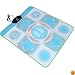 Wii Dance Pad Revolution