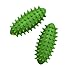 Brasil ® Handtrainer Brasil ® 2-er Set m. Anleitung, grün, 4,7 x 4,7 x 10,6 cm