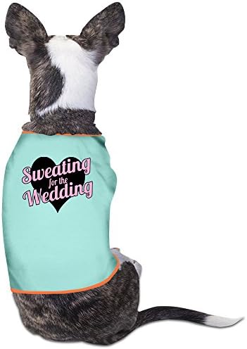 Sweating For The Wedding Pet Clothes SkyBlue