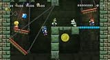 New Super Mario Bros. Wii