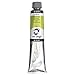 Royal Talens Van Gogh Artists' Oil Color, 200ml Tube, Yellowish Green (02086173)