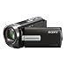 Sony DCR-SX45 Handycam Camcorder (Black)