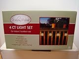 WILSON & FISHER 4 CT LIGHT SET "for indoor/outdoor use"